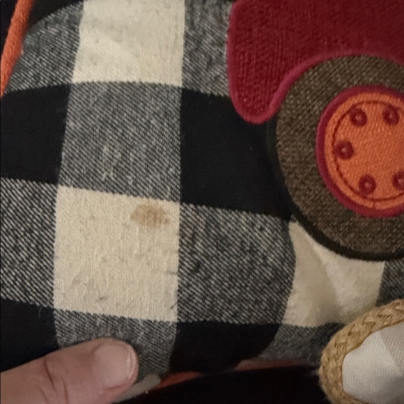 Autumn Harvest Decorative Pillow Set - Picture 6 of 6